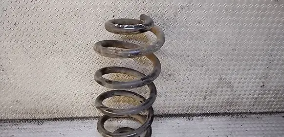 Rear coil spring