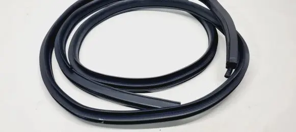 Nissan Pulsar Rear door rubber seal (on body) 769243ZL0A