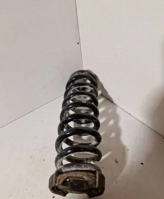 Rear coil spring