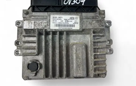 KIA Rio Engine control unit/module ECU 391302A271