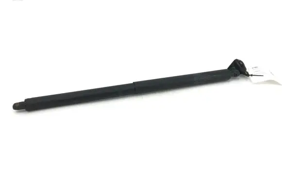 Ford Edge II Tailgate/trunk strut/damper FT4BR402A74AB