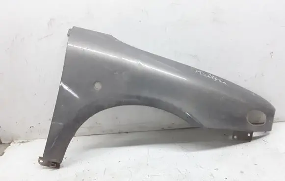 Fiat Multipla Fender
