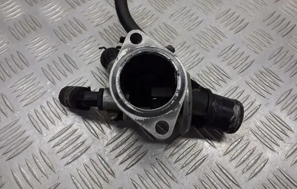 Thermostat/thermostat housing