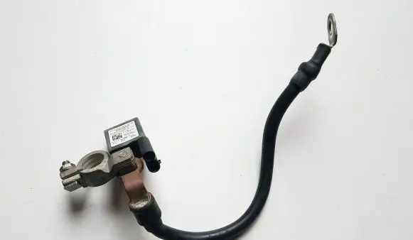 Mercedes-Benz GLK (X204) Negative earth cable (battery) A1665420218