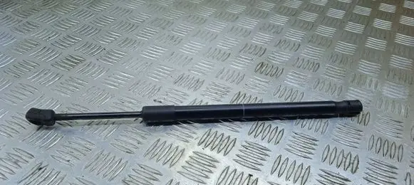 BMW X6 F16 Front bonnet/hood damper/strut 7308065