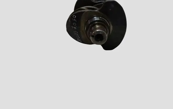 Renault Trafic II (X83) Crankshaft A168