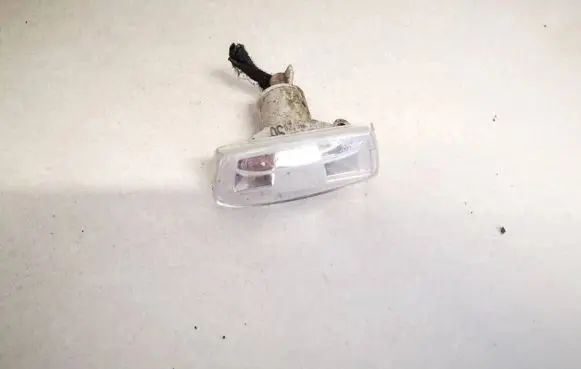 Opel Insignia A Front fender indicator light 13252455