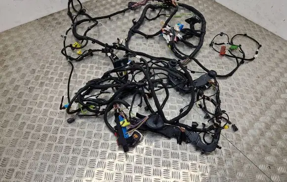 Peugeot 308 Other wiring loom 9807698080 13931598 PM02