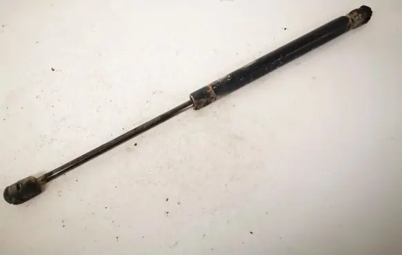Tailgate/trunk strut/damper