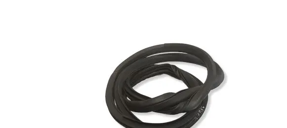 Nissan Juke I F15 Rear door rubber seal (on body) 