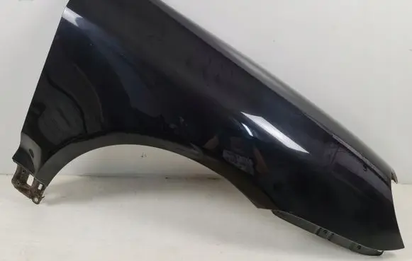 Porsche Cayenne (9PA) Fender