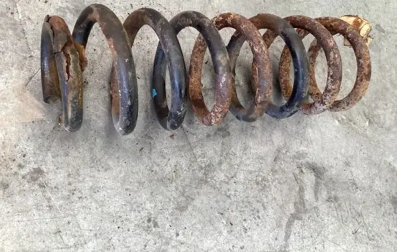 Rear coil spring