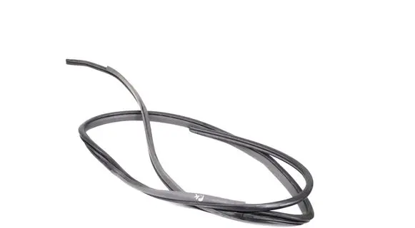 Toyota Prius (XW30) Rubber seal front coupe door 