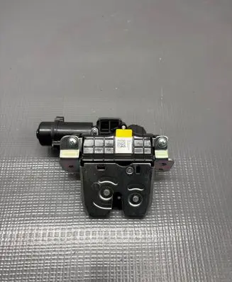 Hyundai Ioniq 5 Loading door lock 81810GM100 L5010RCC0365