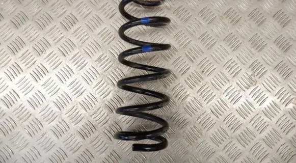 Rear coil spring