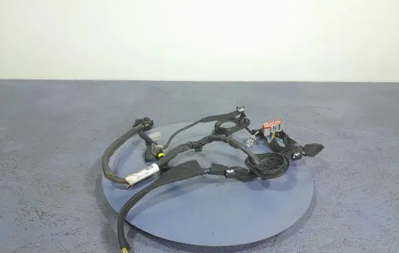 Volvo V40 Other wiring loom 31313717