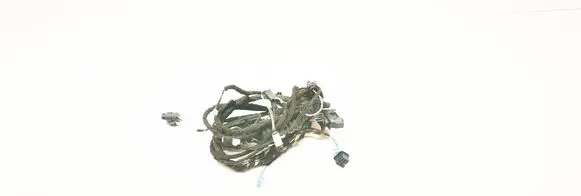 Mini One - Cooper F56 F55 Front door wiring loom 6809478