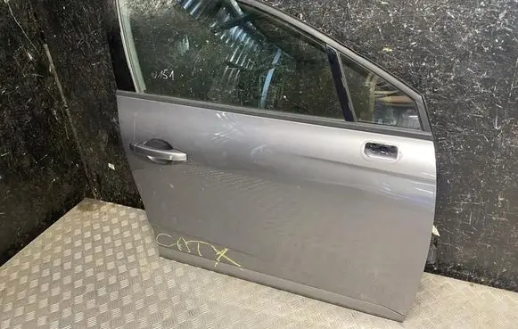 Renault Clio V Front door 