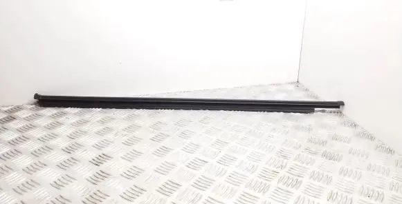 Volkswagen Tiguan Rubber seal front door window/glass 5NA837479 5NA837480