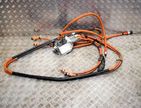Tesla Model S Other wiring loom 106260010C 109700010D