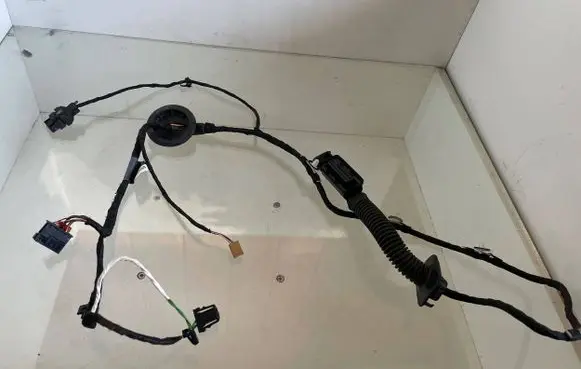 Audi Q2 - Rear door wiring loom 81A971687G 19102018 TAB026205AS