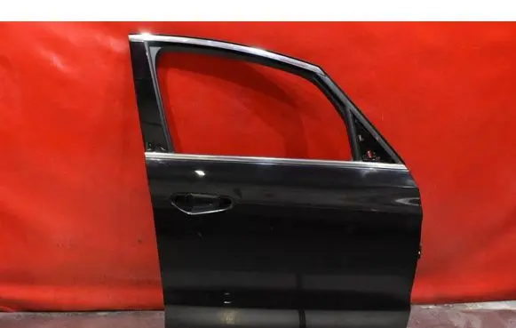 Ford S-MAX Front door 