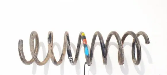 Ford Focus Rear coil spring