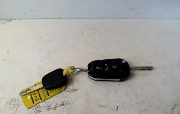 Peugeot 508 RXH Ignition key/card 