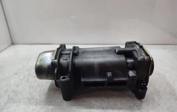 Hyundai Santa Fe Oil pump balance shaft 