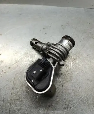 EGR valve