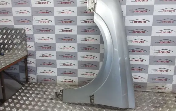 Opel Signum Fender