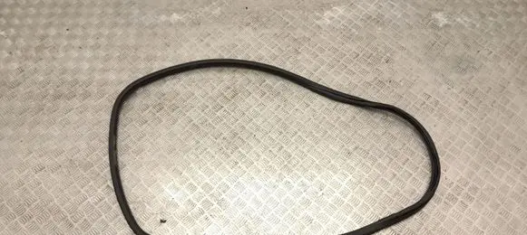 Peugeot 2008 I Front door rubber seal 9673084680