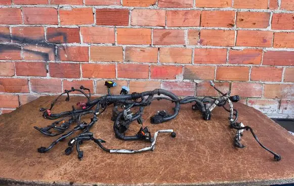 Nissan Juke I F15 Engine installation wiring loom WIAZKA