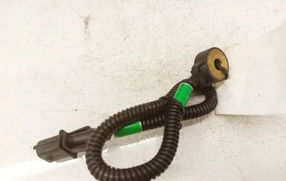 Maserati Quattroporte Detonation knock sensor 0261231223