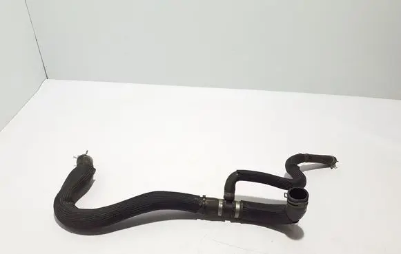 Renault Kangoo III Engine coolant pipe/hose 215035931R