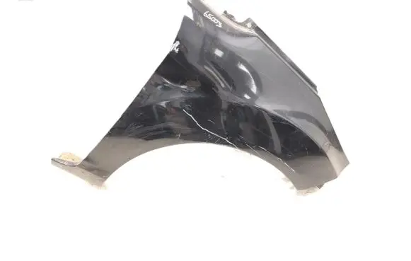 Ford Fiesta Fender 