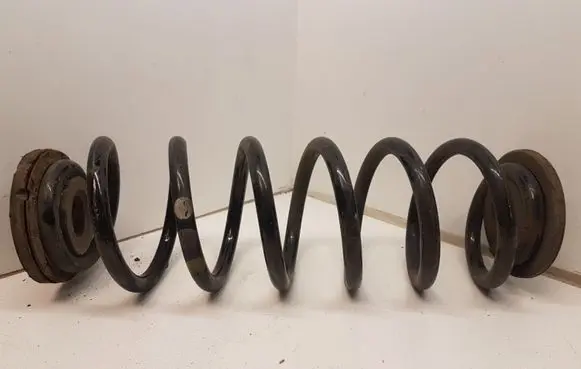 Volkswagen PASSAT B6 Rear coil spring