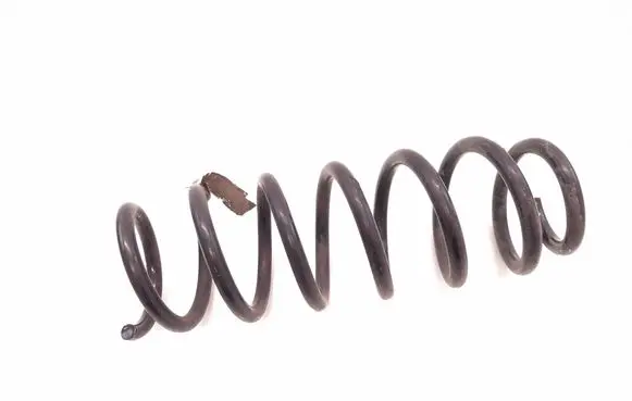 Rear coil spring