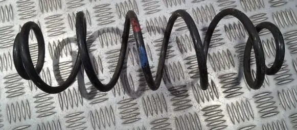 Rear coil spring