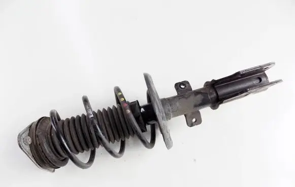 Opel Grandland X Front shock absorber with coil spring