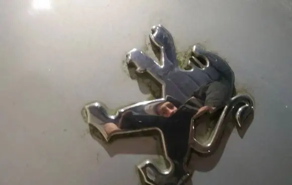 Peugeot 607 Manufacturer badge logo/emblem 