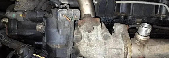 EGR valve