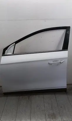 Hyundai Ioniq Front door 