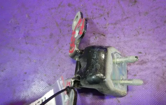 Renault Clio III Front door lower hinge 