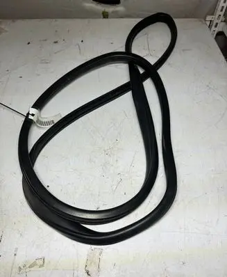 Honda Insight Front door rubber seal 