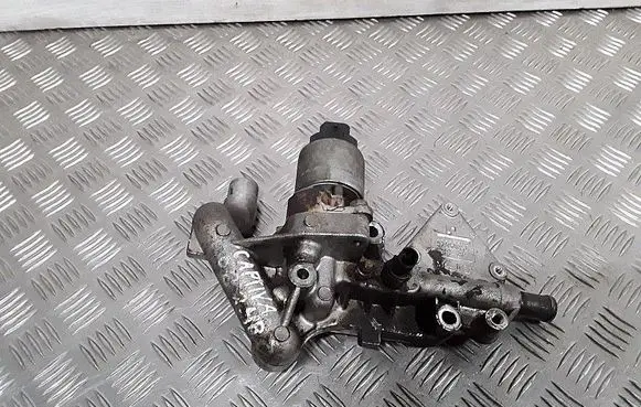 Chevrolet Captiva EGR valve cooler 92068358