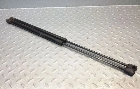 Front bonnet/hood damper/strut