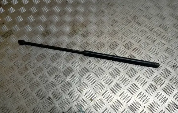Tailgate/trunk strut/damper