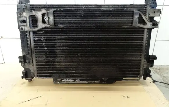 Mercedes-Benz A W169 Coolant radiator A1695000354