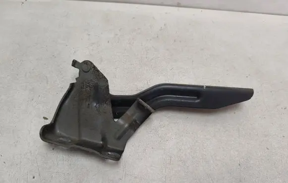 Nissan Qashqai Engine bonnet/hood hinges 4EAR